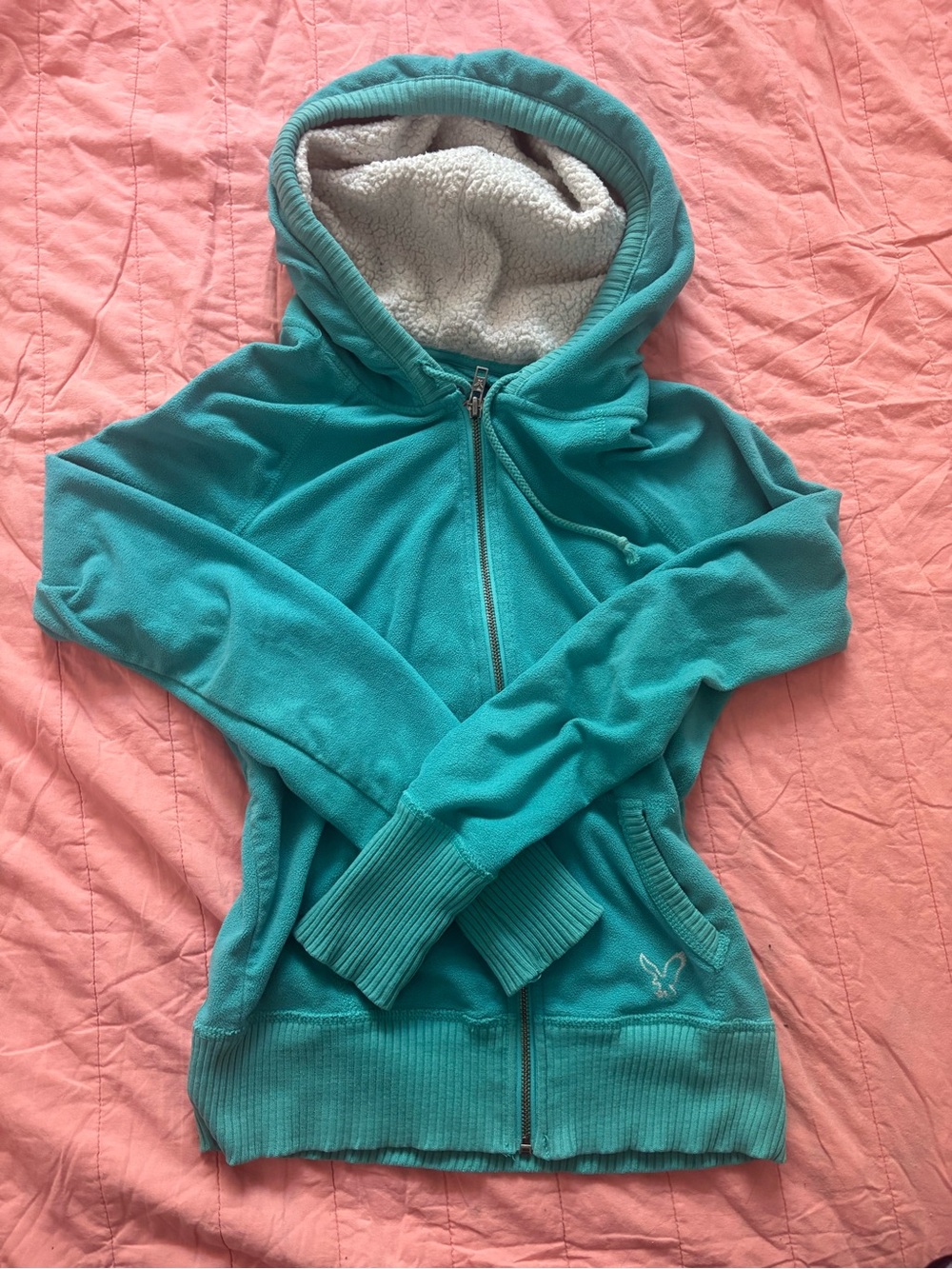 American Eagle Outfitters Teal Sherpa-Lined Zip Hoodie